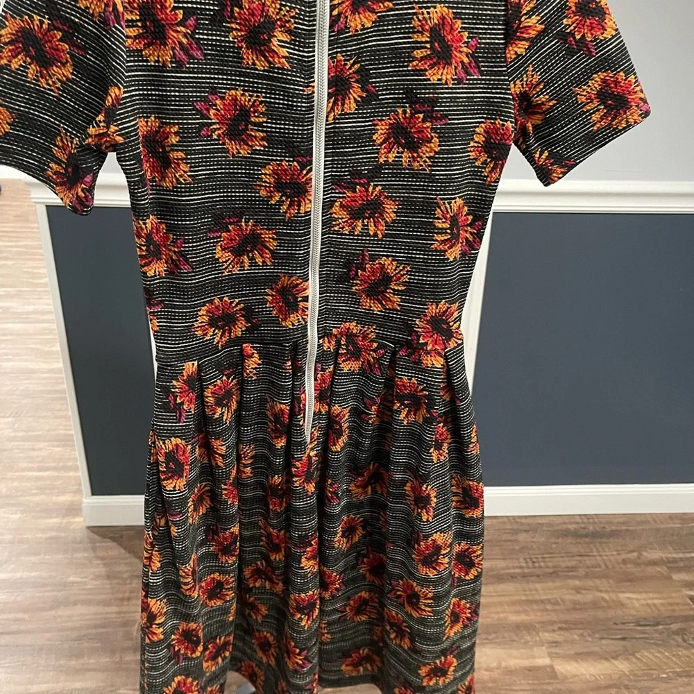 LuLaRoe worn once