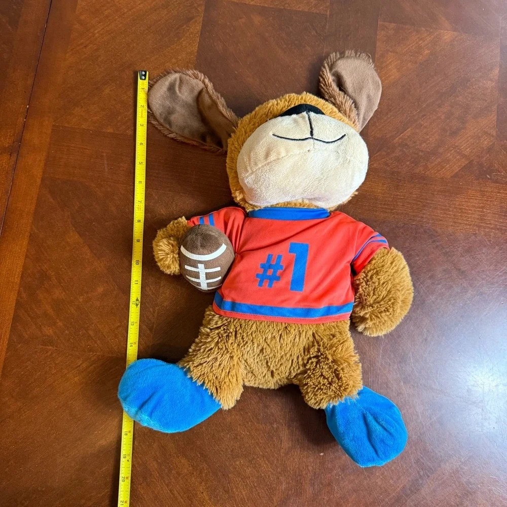 Petsmart 2017 joe