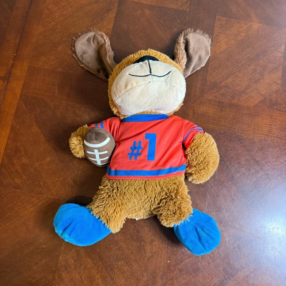 Petsmart 2017 joe