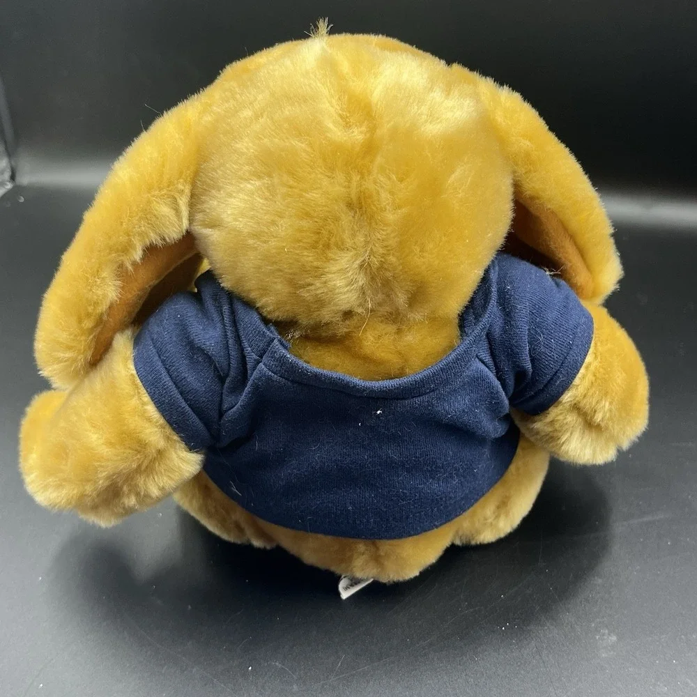 Chelsea Teddy Bear Co questions are
