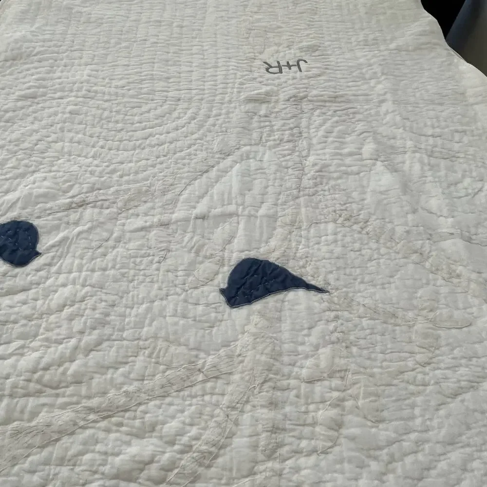 Unbranded this cotton