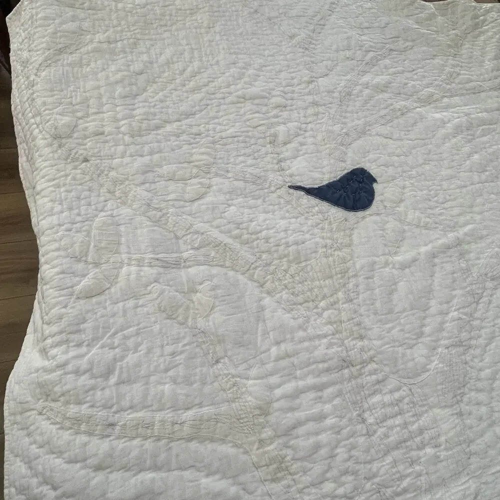 Unbranded this cotton