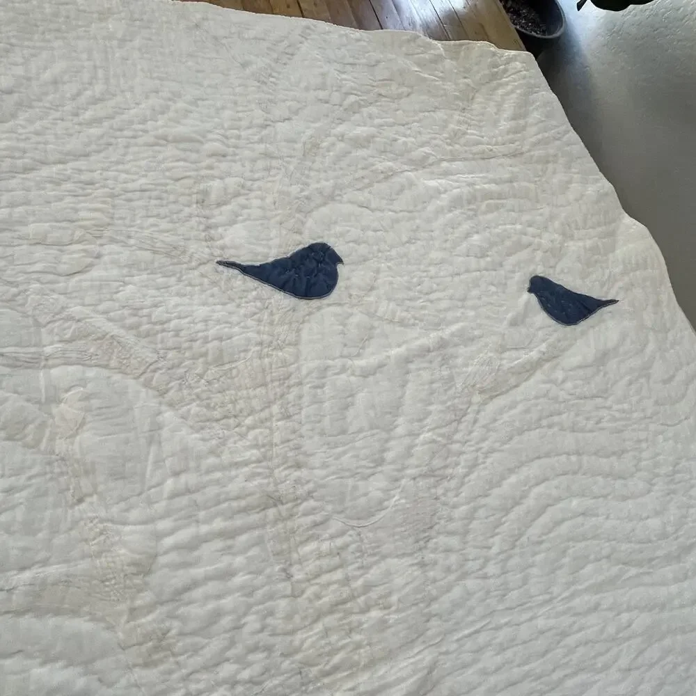 Unbranded this cotton