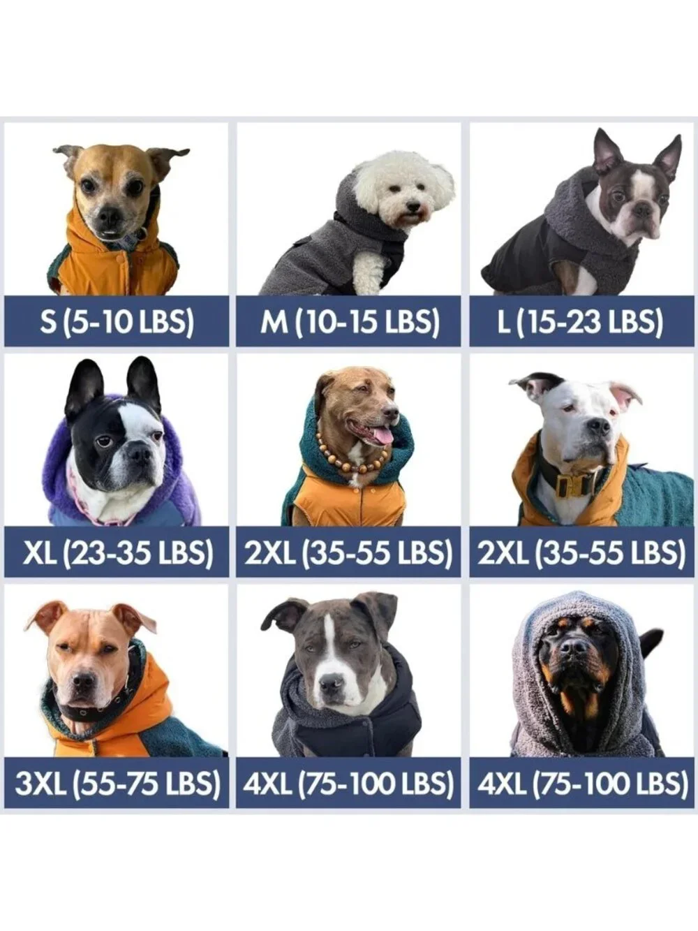 Spark Paws reversible dog