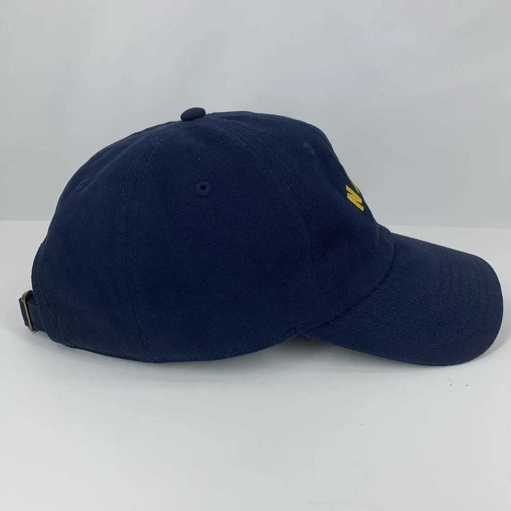 NASA USA Flag Hat Buzz Aldrin Blue Adjustable Strap OSFM Souvenir Baseball Cap