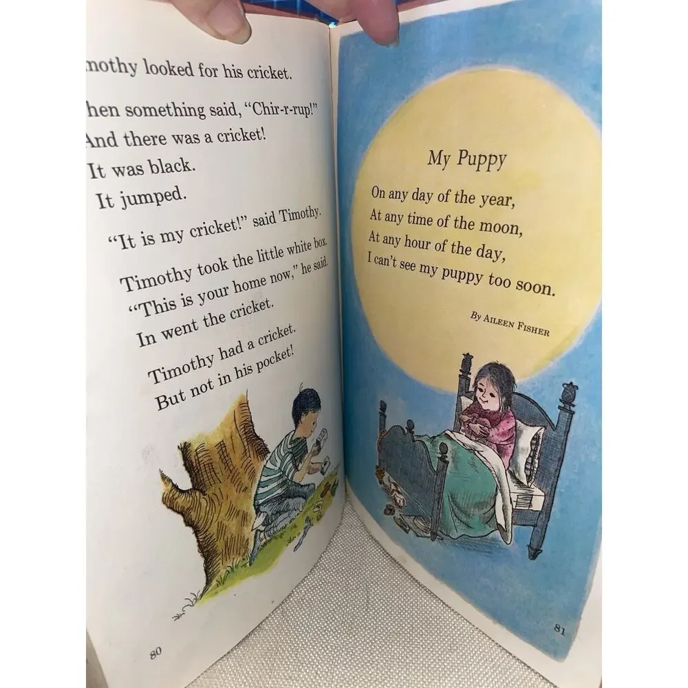 Peppermint Fence Paul Witty Mildred Bebell Hardcover 1969 Elementary Textbook