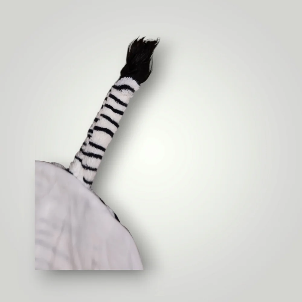 No brand zebra dog