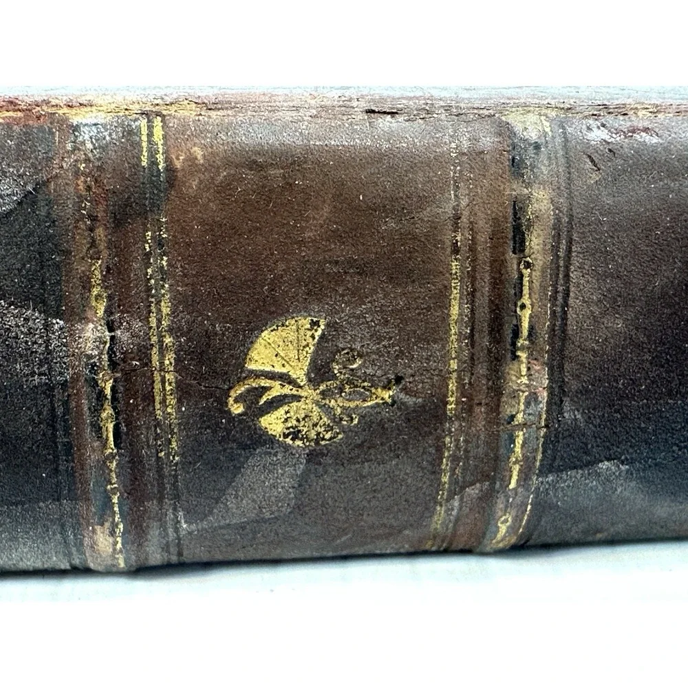 N/A belford clarke chicago