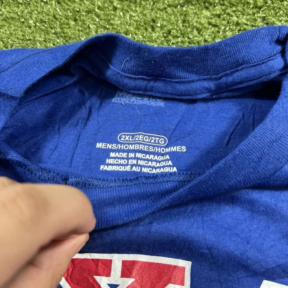 Majestic texas rangers