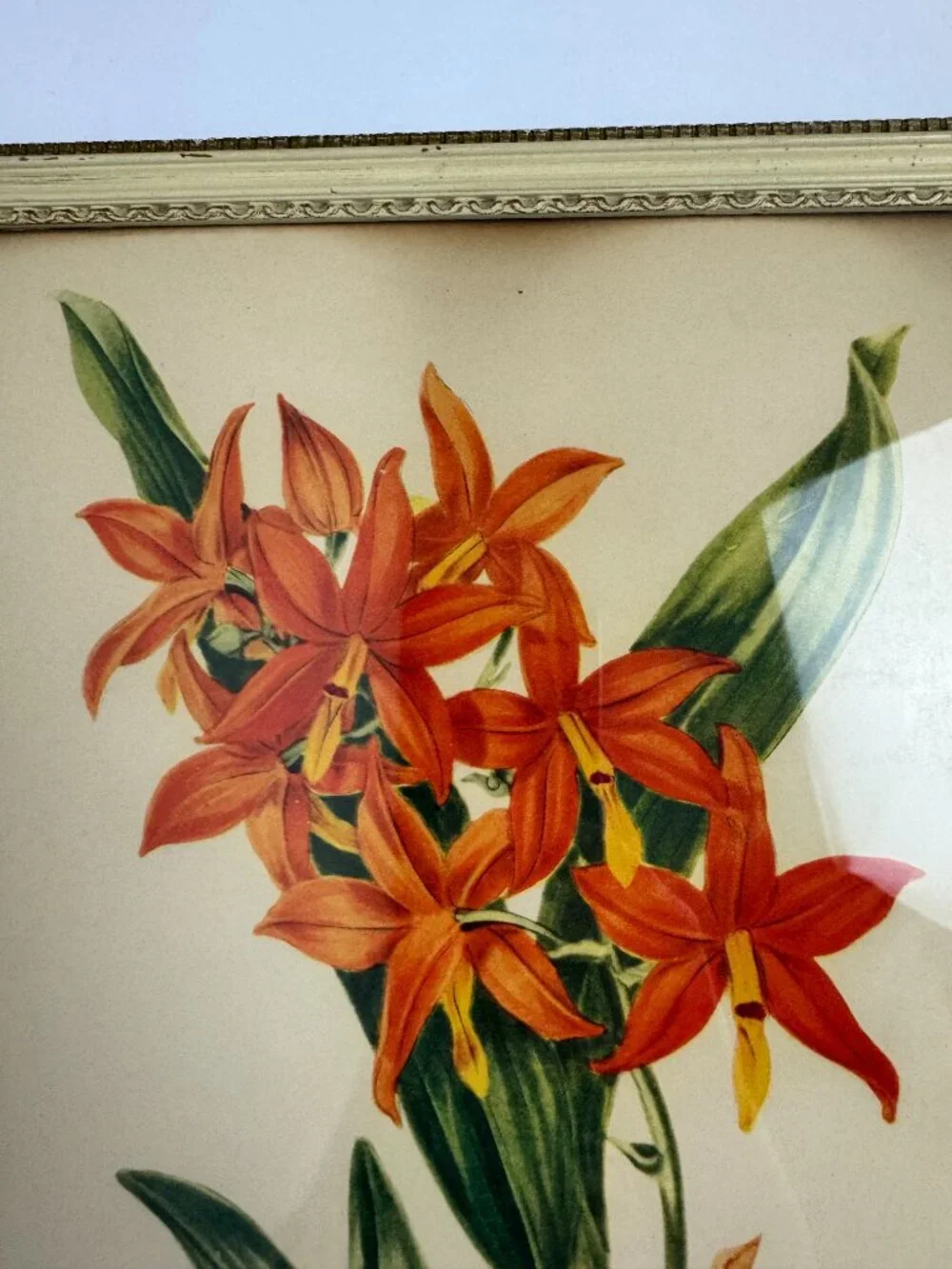 N/A vintage print