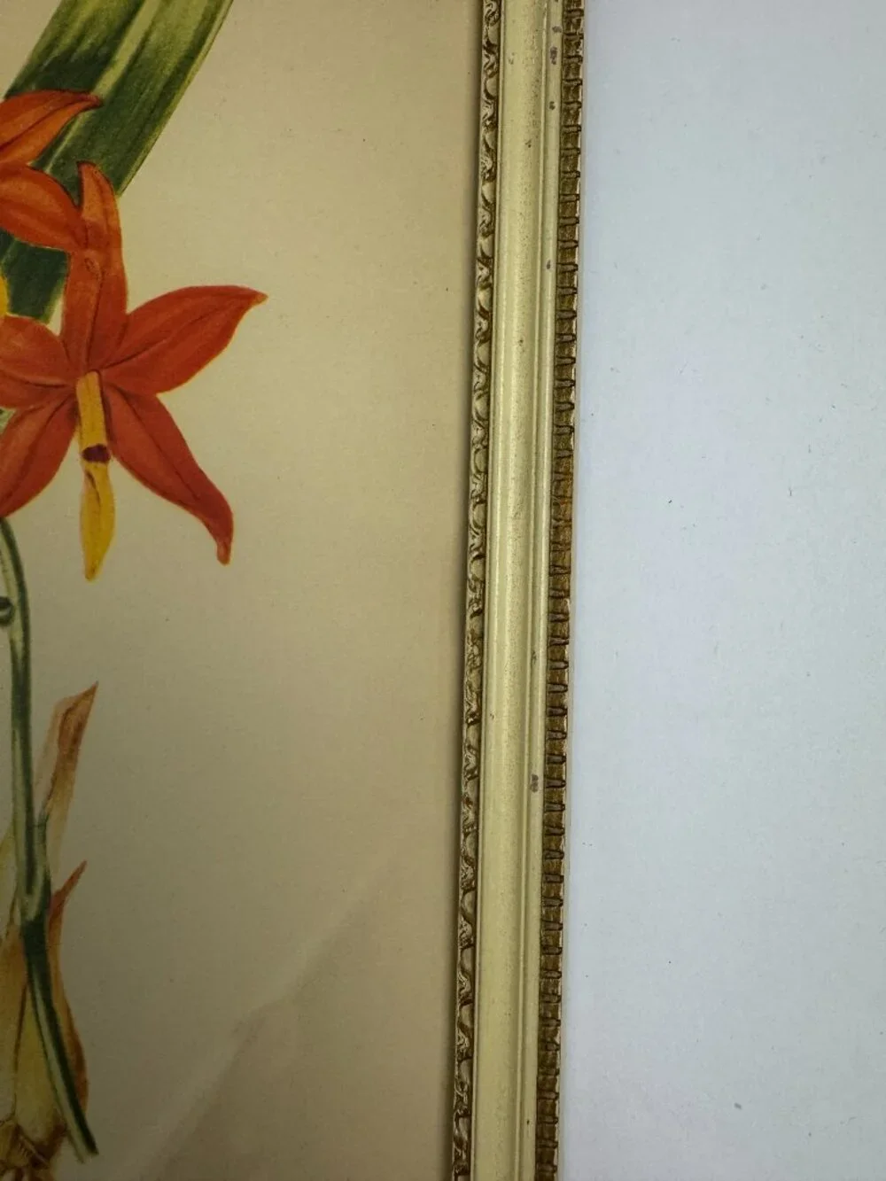 N/A vintage print