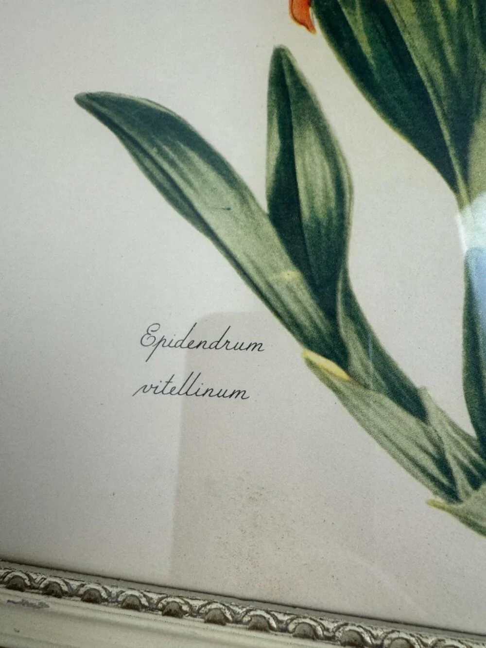 N/A vintage print