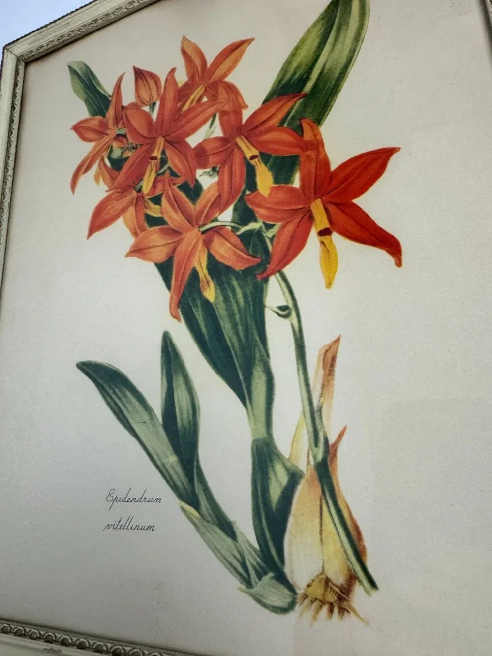 N/A vintage print