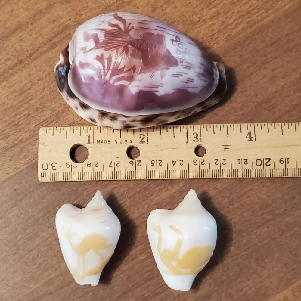 None set vtg