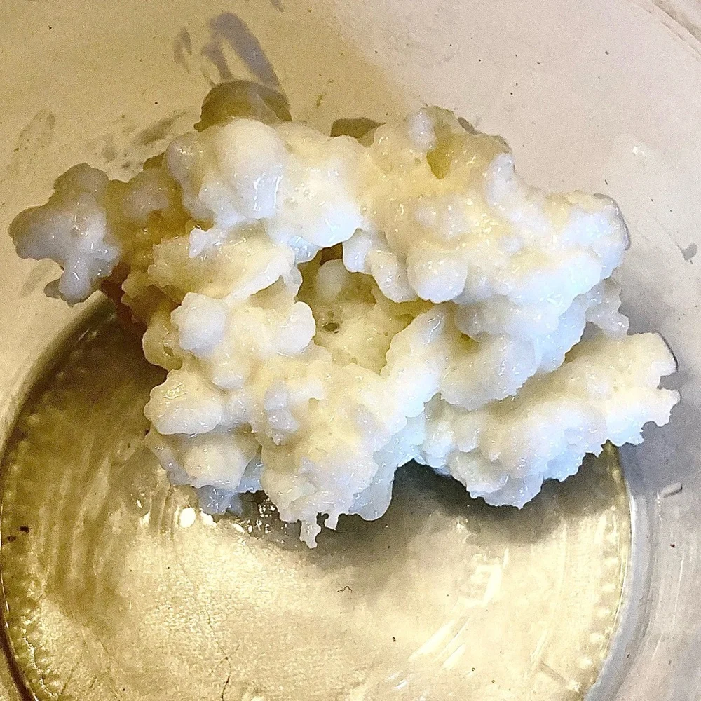 organic kefir organic healthy