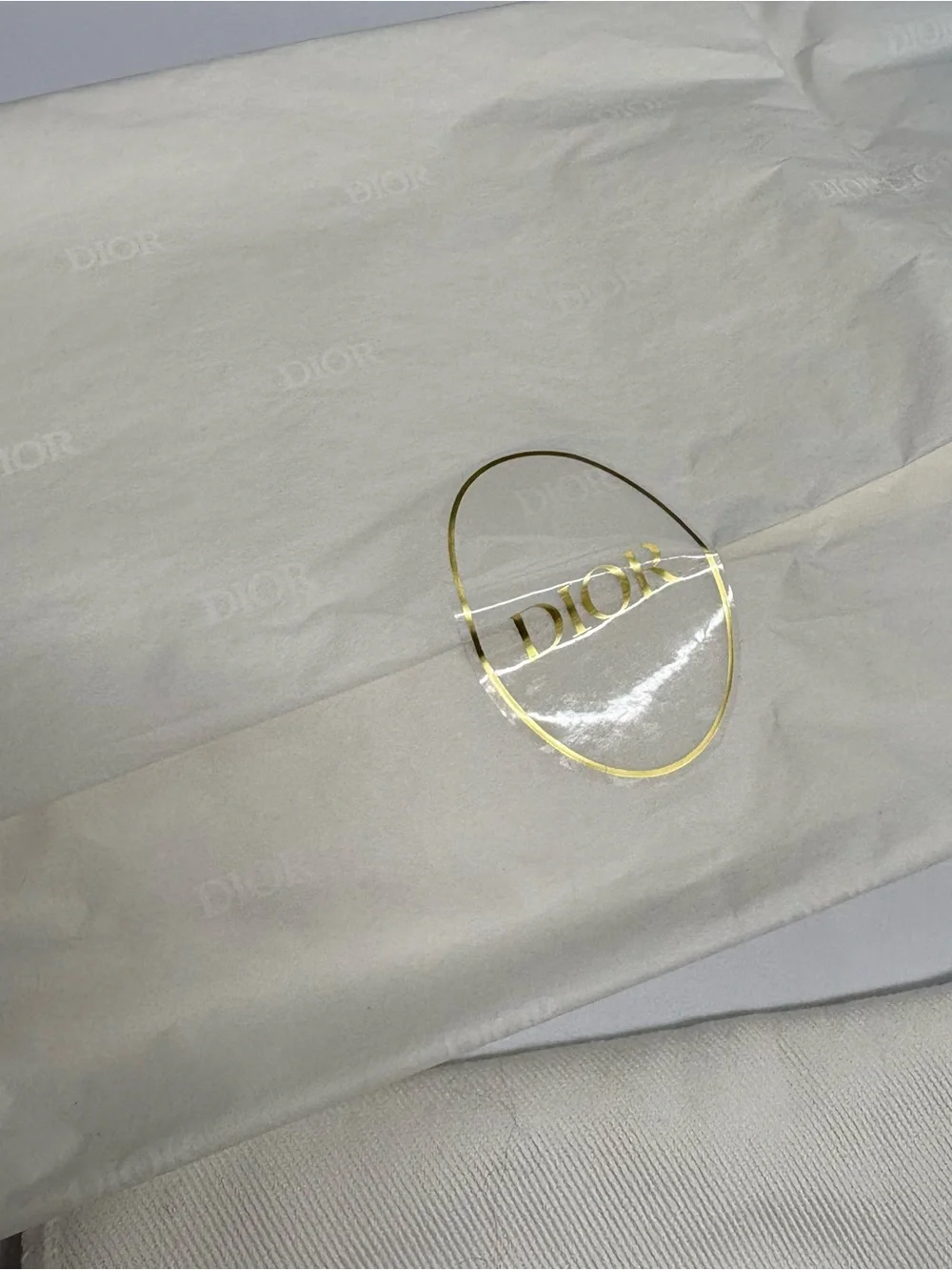 Dior classic logo 5”