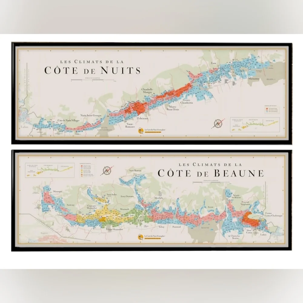 La Carte des Vines enhance your