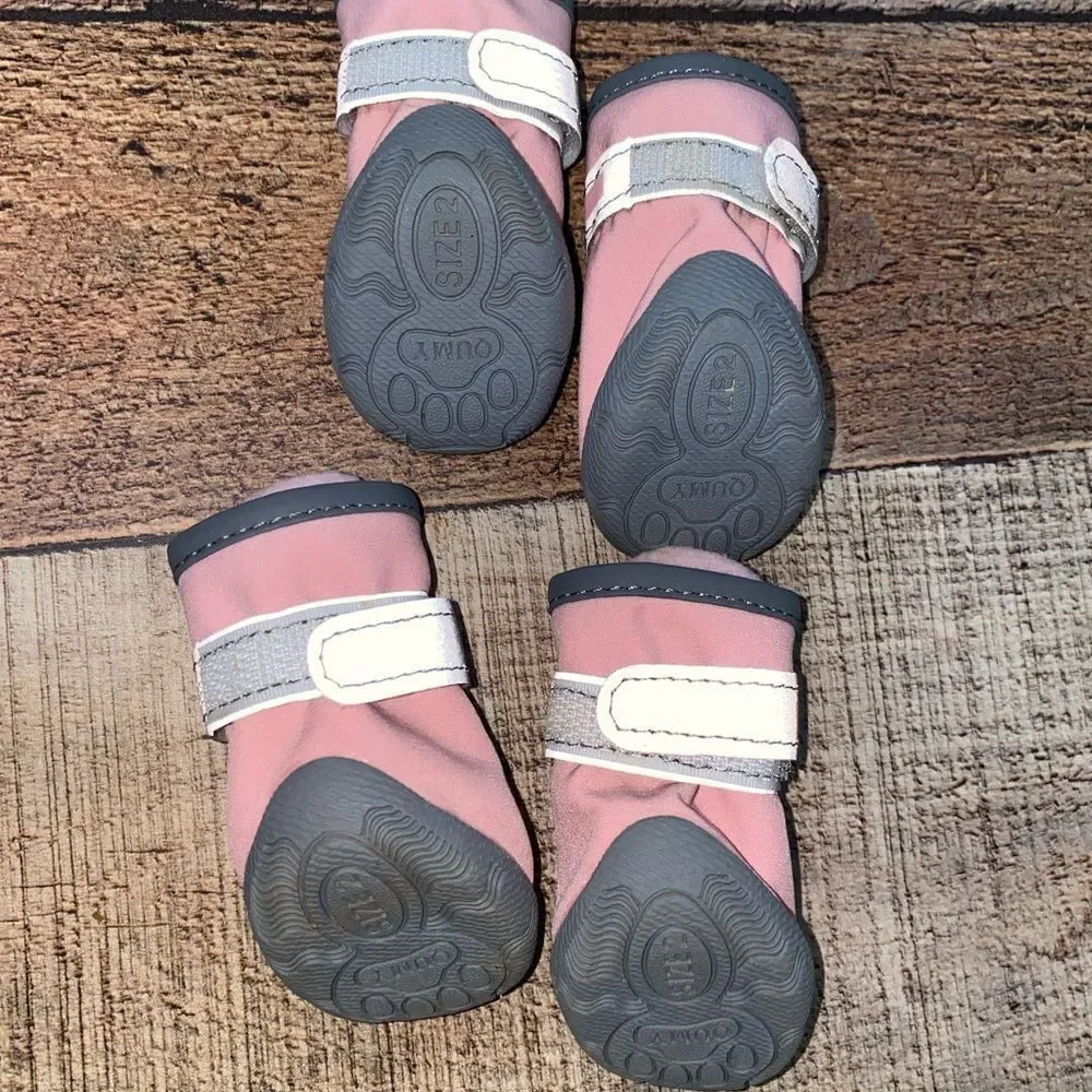 qumy dog shoes