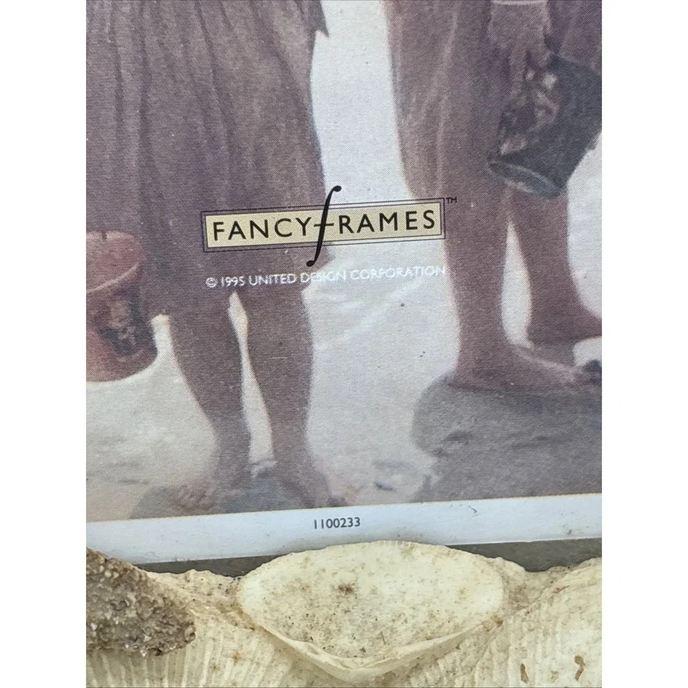 FRAME OLOGY very good