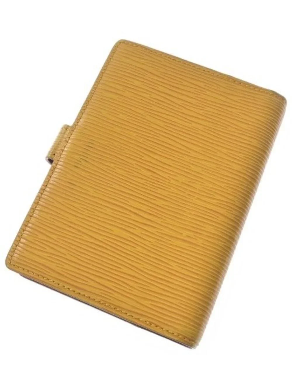 Louis Vuitton brand louis