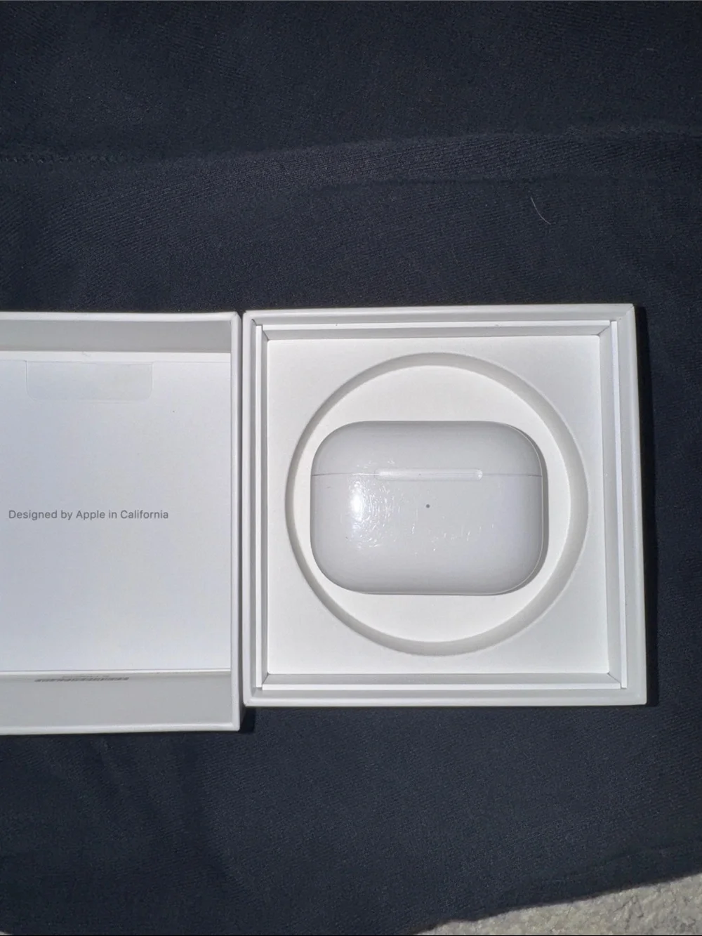 Apple true wireless