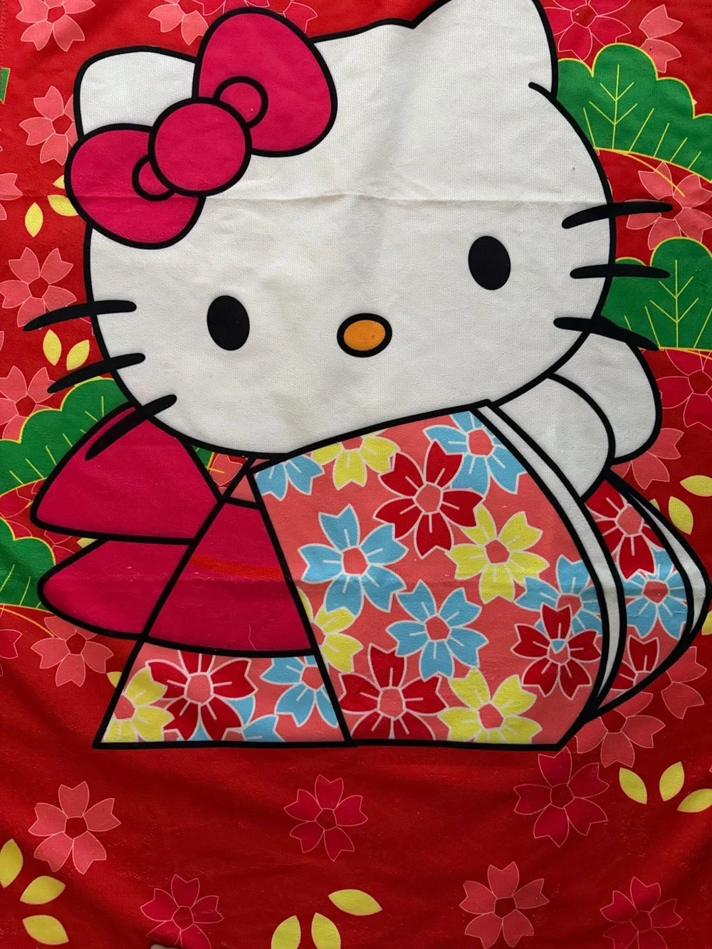 Hello Kitty nwot hello