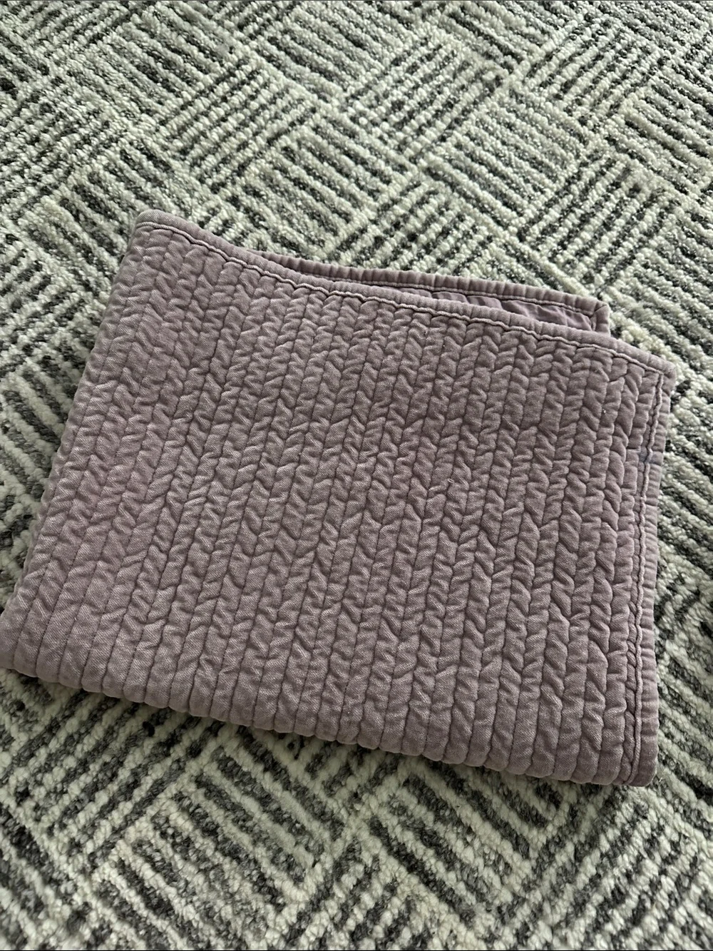 Pottery Barn soft velvet