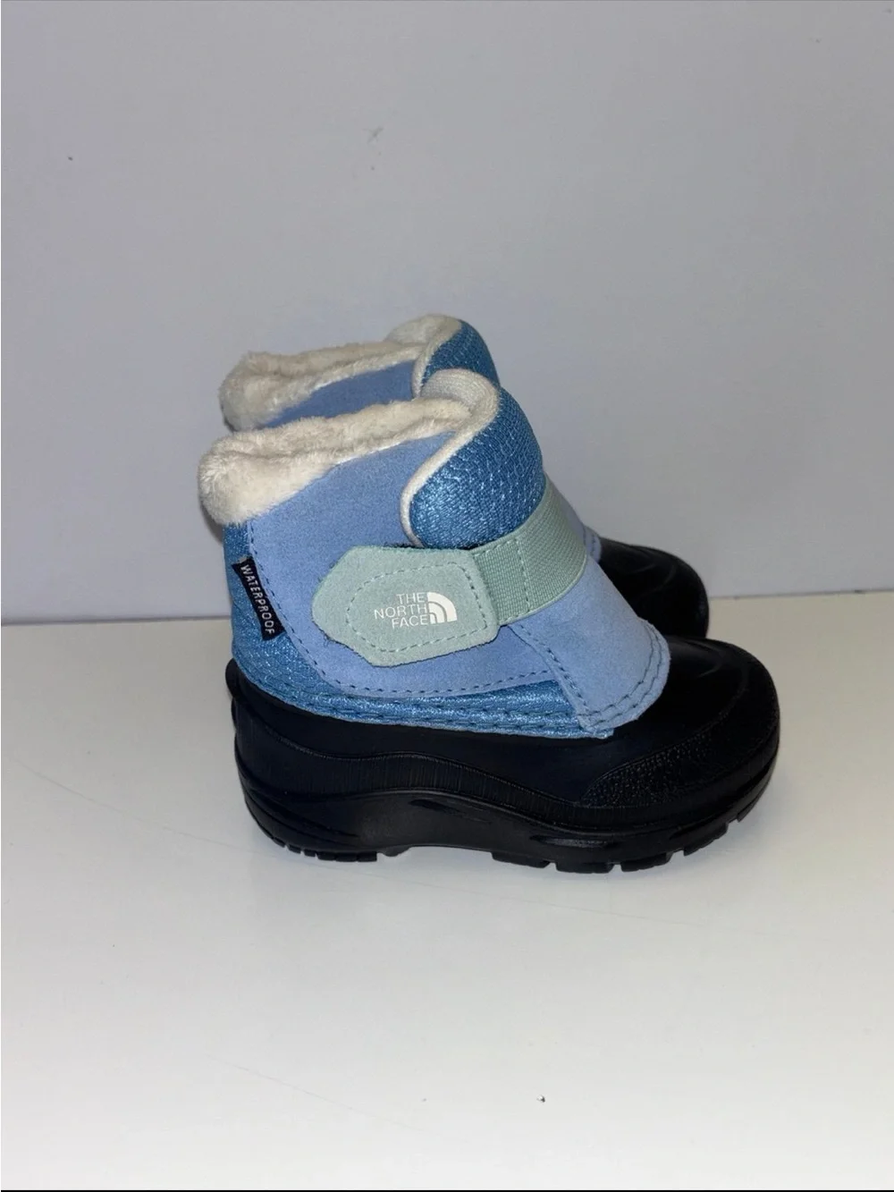 The North Face north face