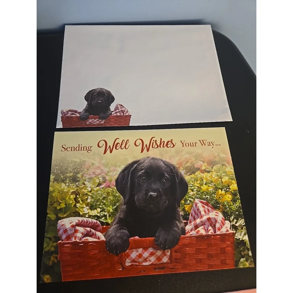 greg cuddilford creative image library envelopes children