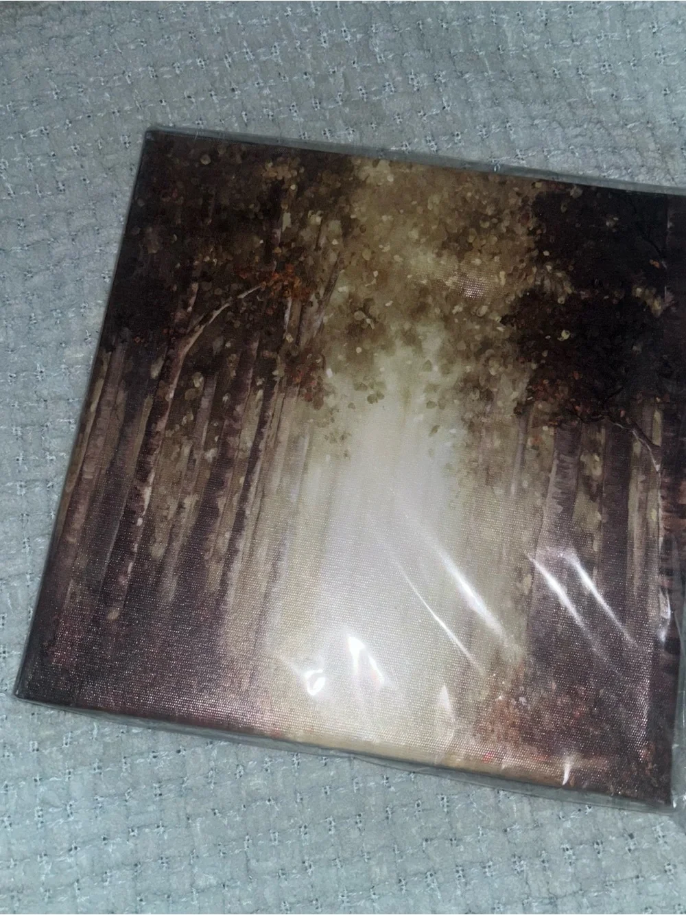 Neutral Brown Forest Canvas Wall Art NWT