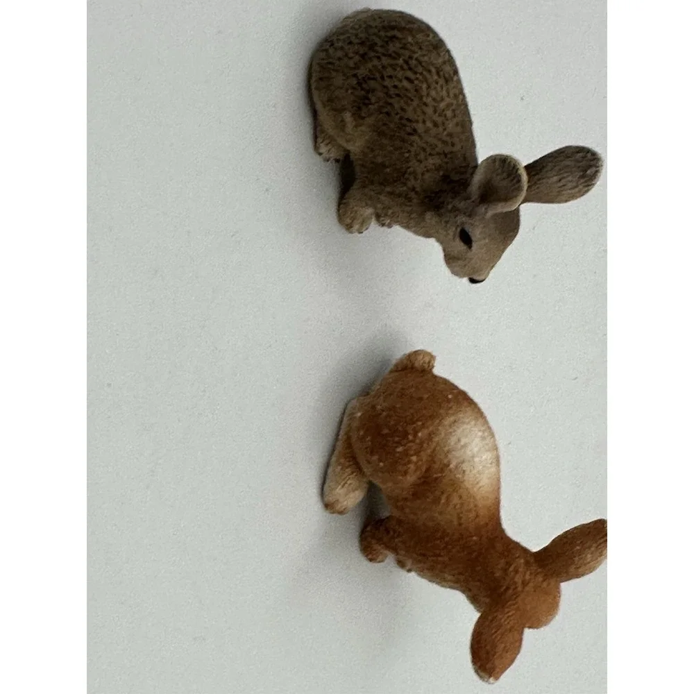 N/A hare rabbit