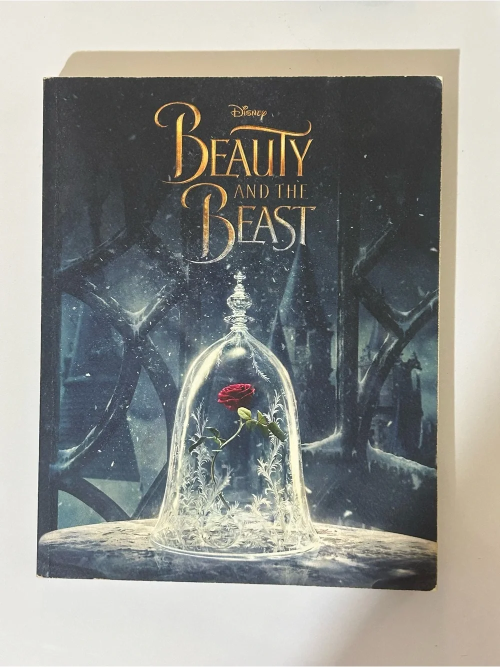 Disney Book