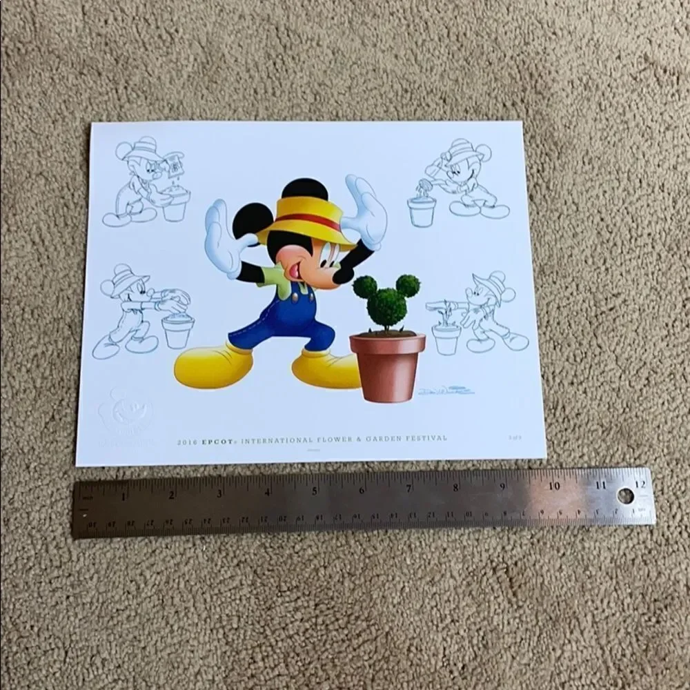 Disney perfect set
