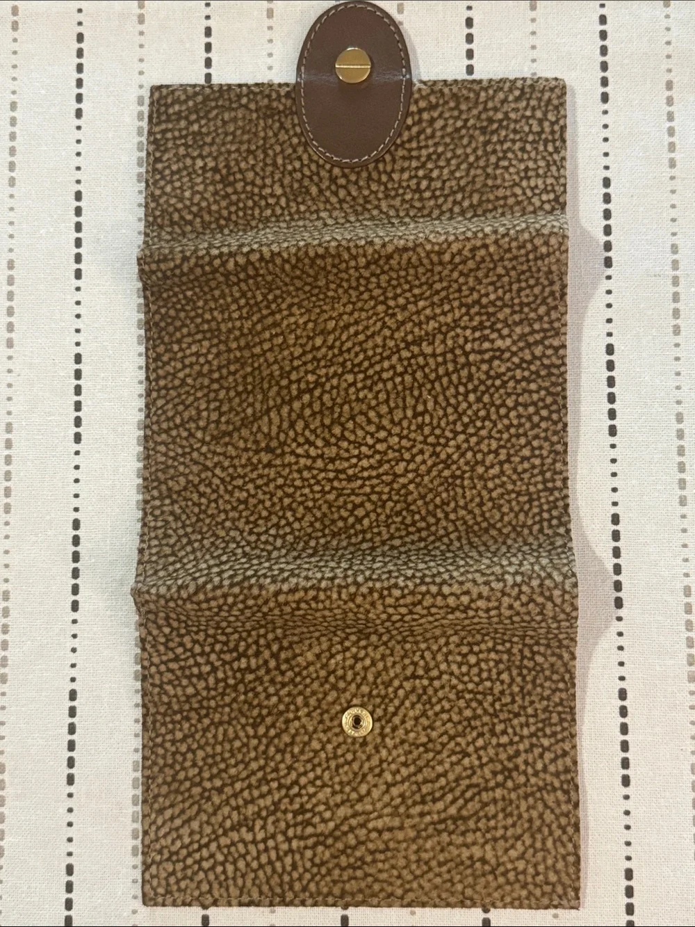 Burbonese compact brown