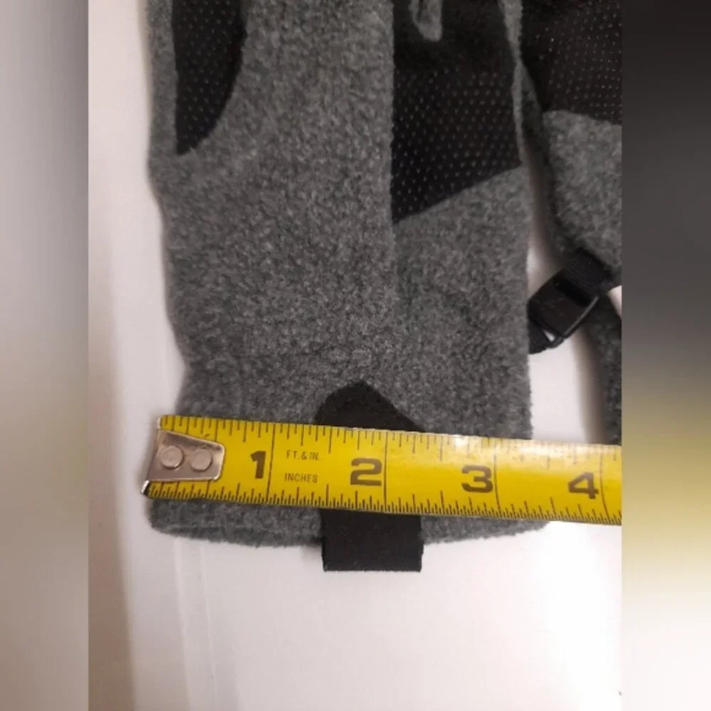 The North Face brand north