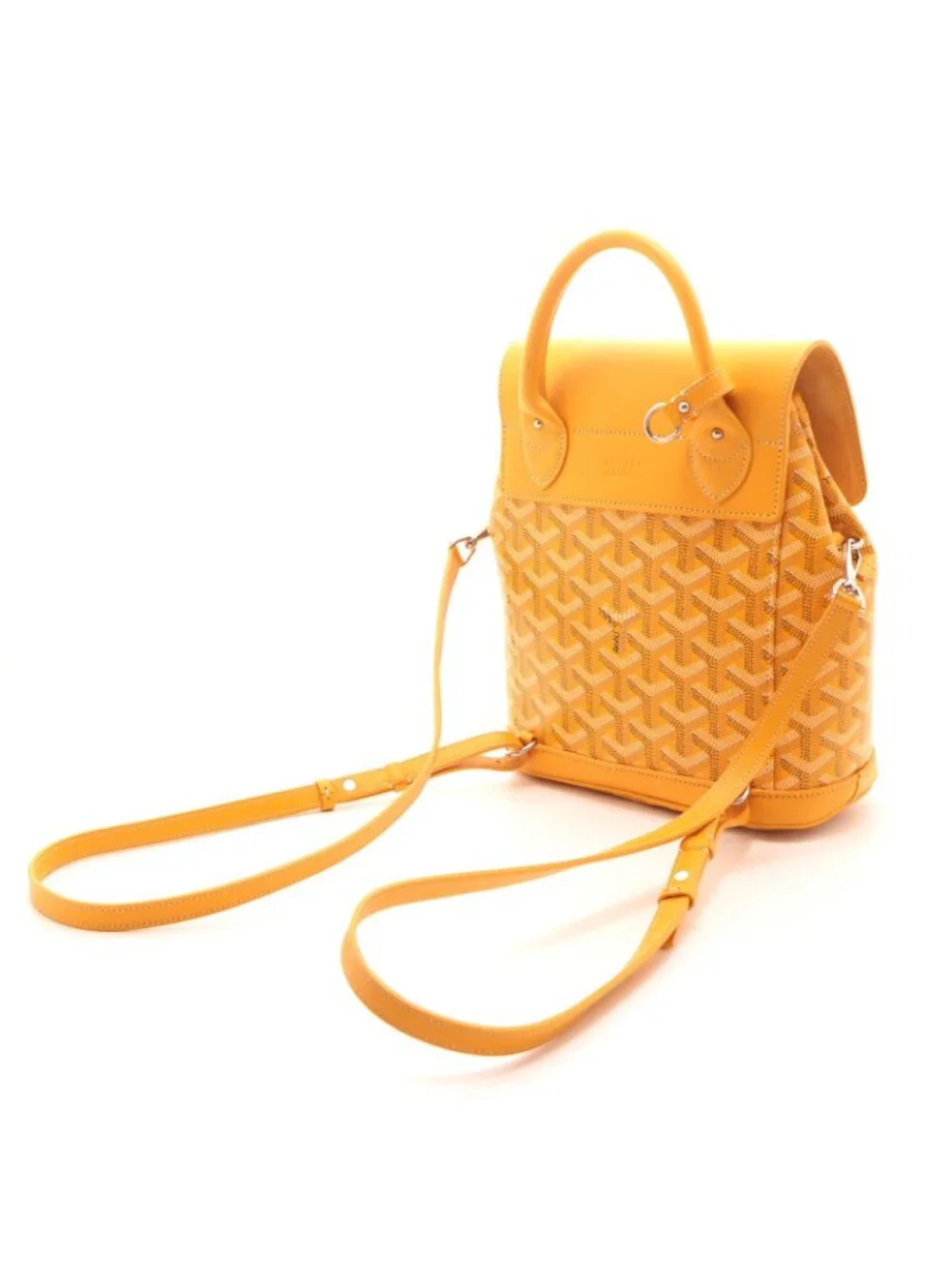 Goyard brand model