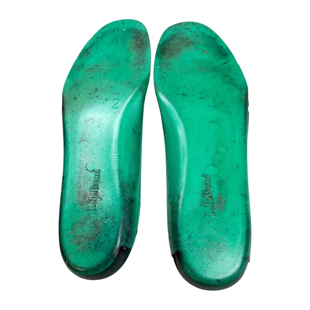 L.L. Bean bean duck