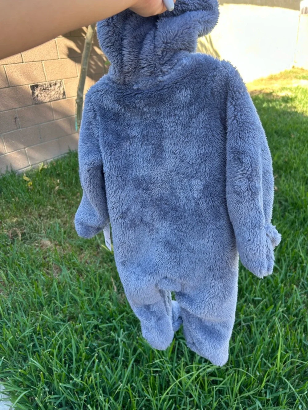 Carters carter soft