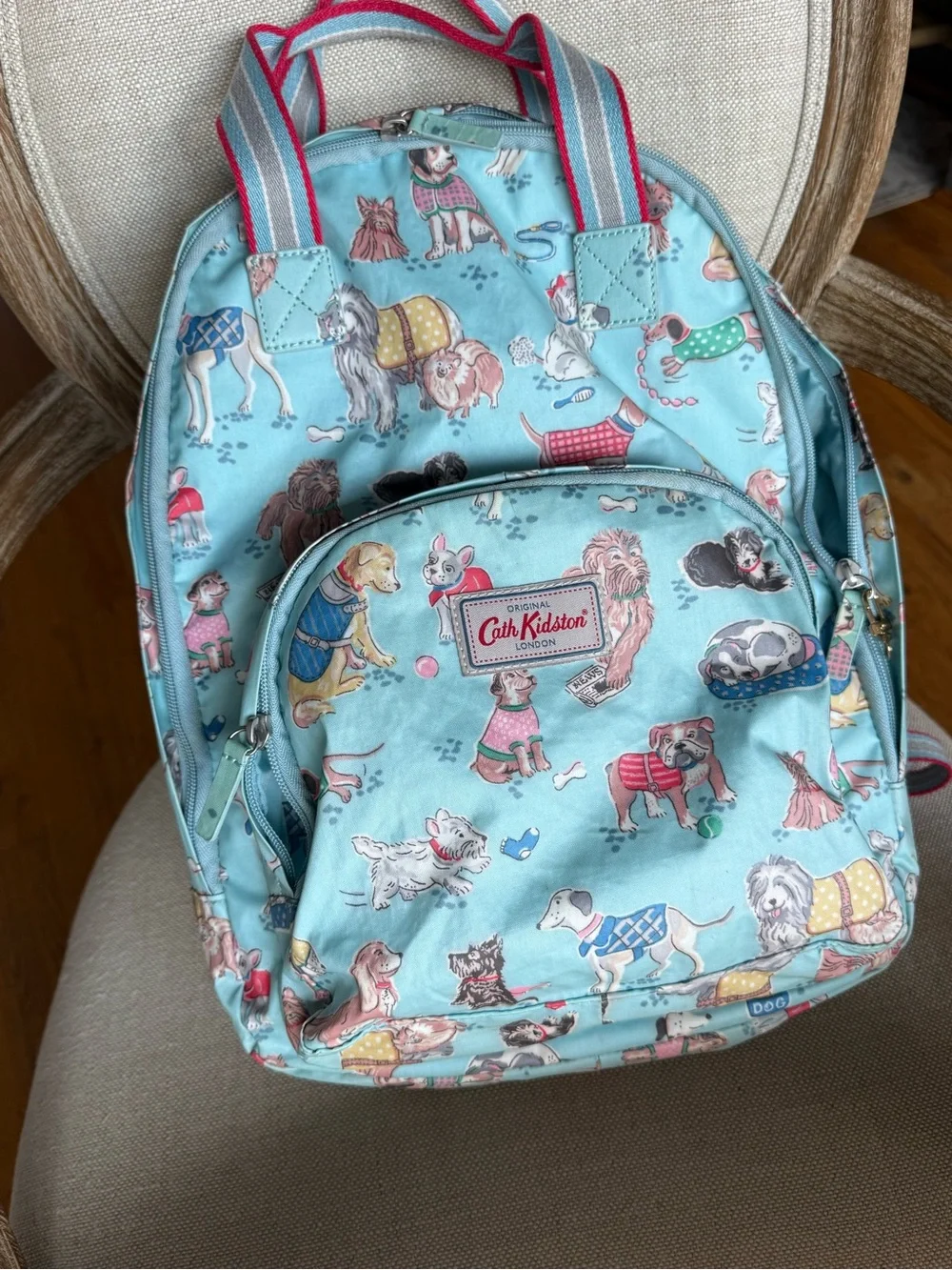 Cath Kidston playful dog