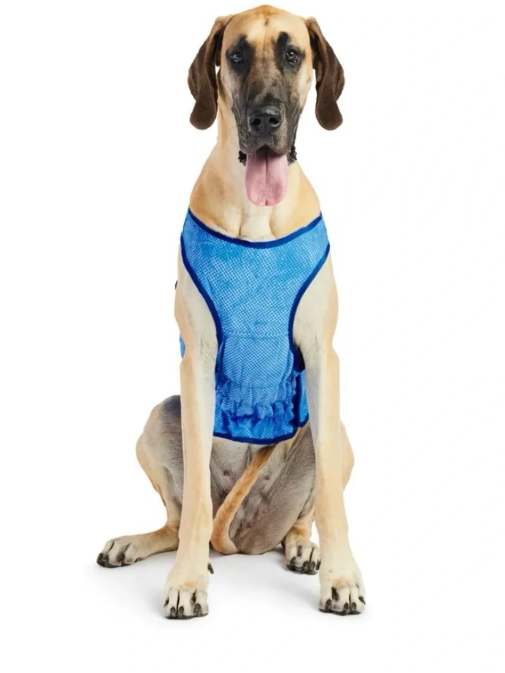 GF Pet gf pet®