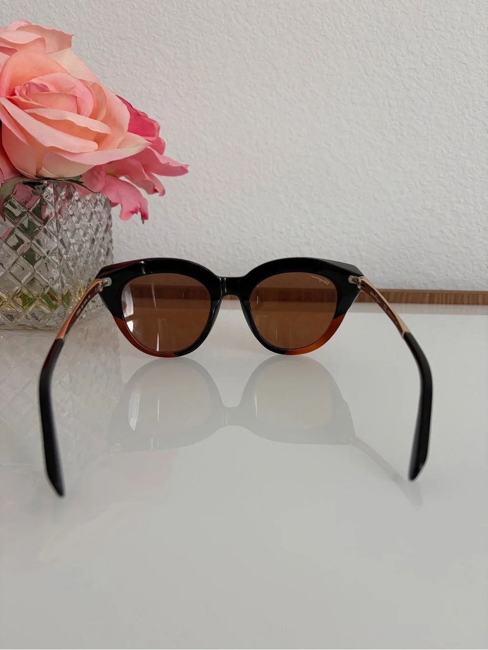 Salvatore Ferragamo stylish cat