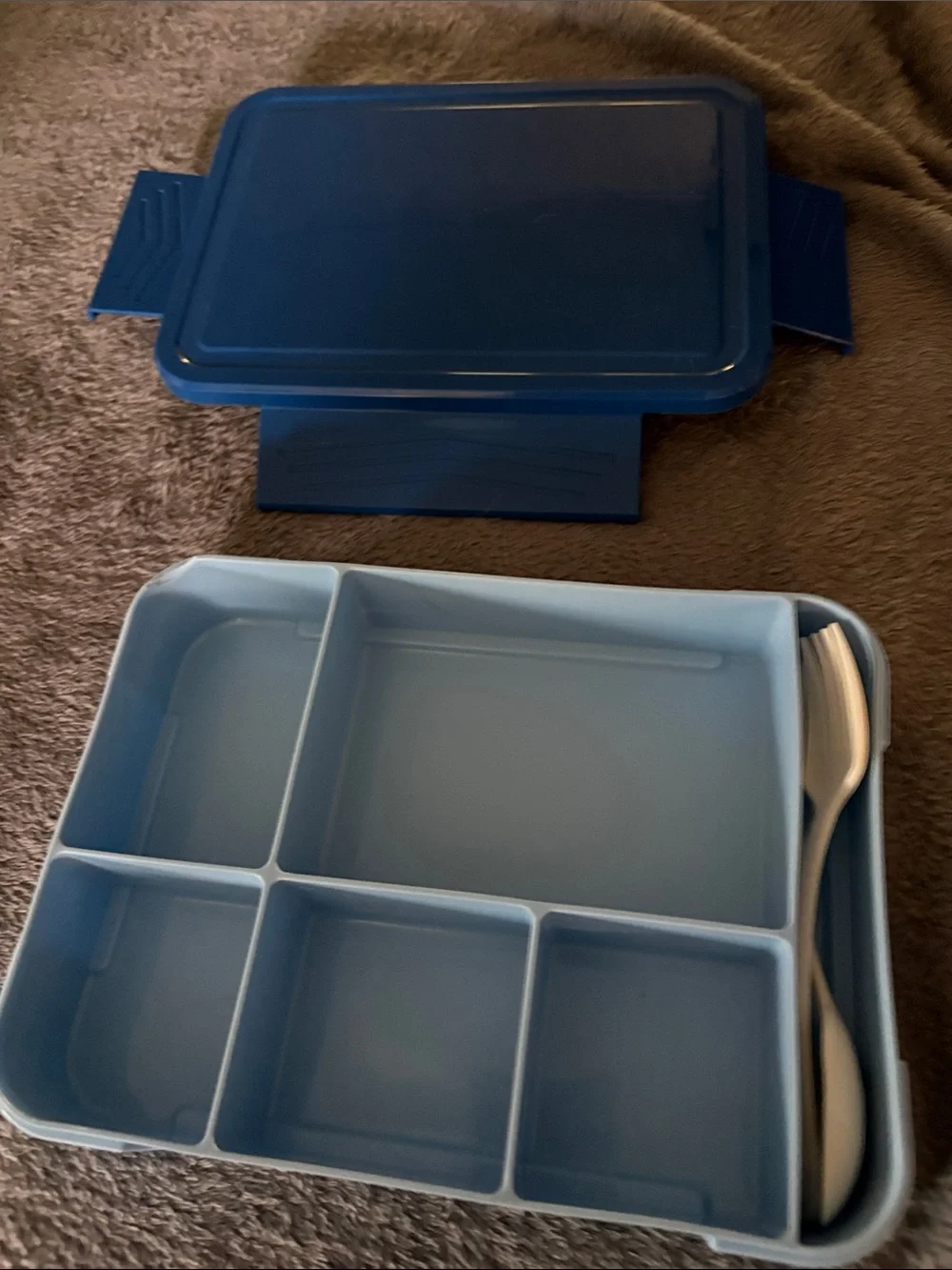 Bento box durable