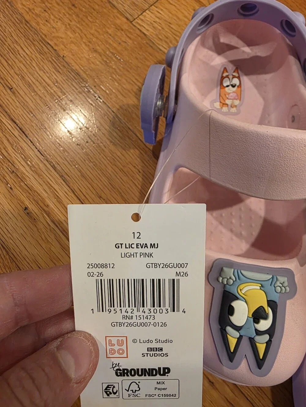 Bluey nwt size