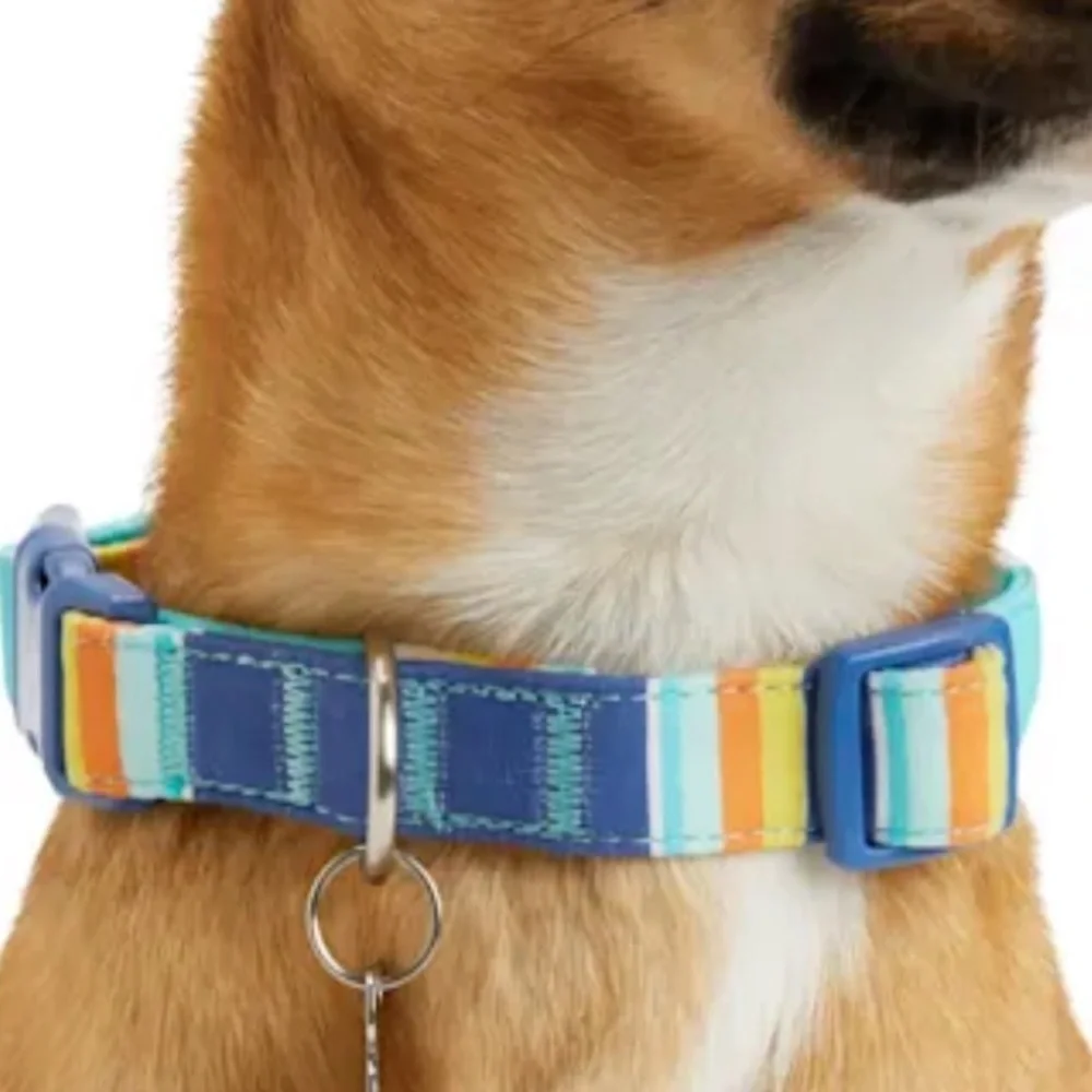 Youly blue orange