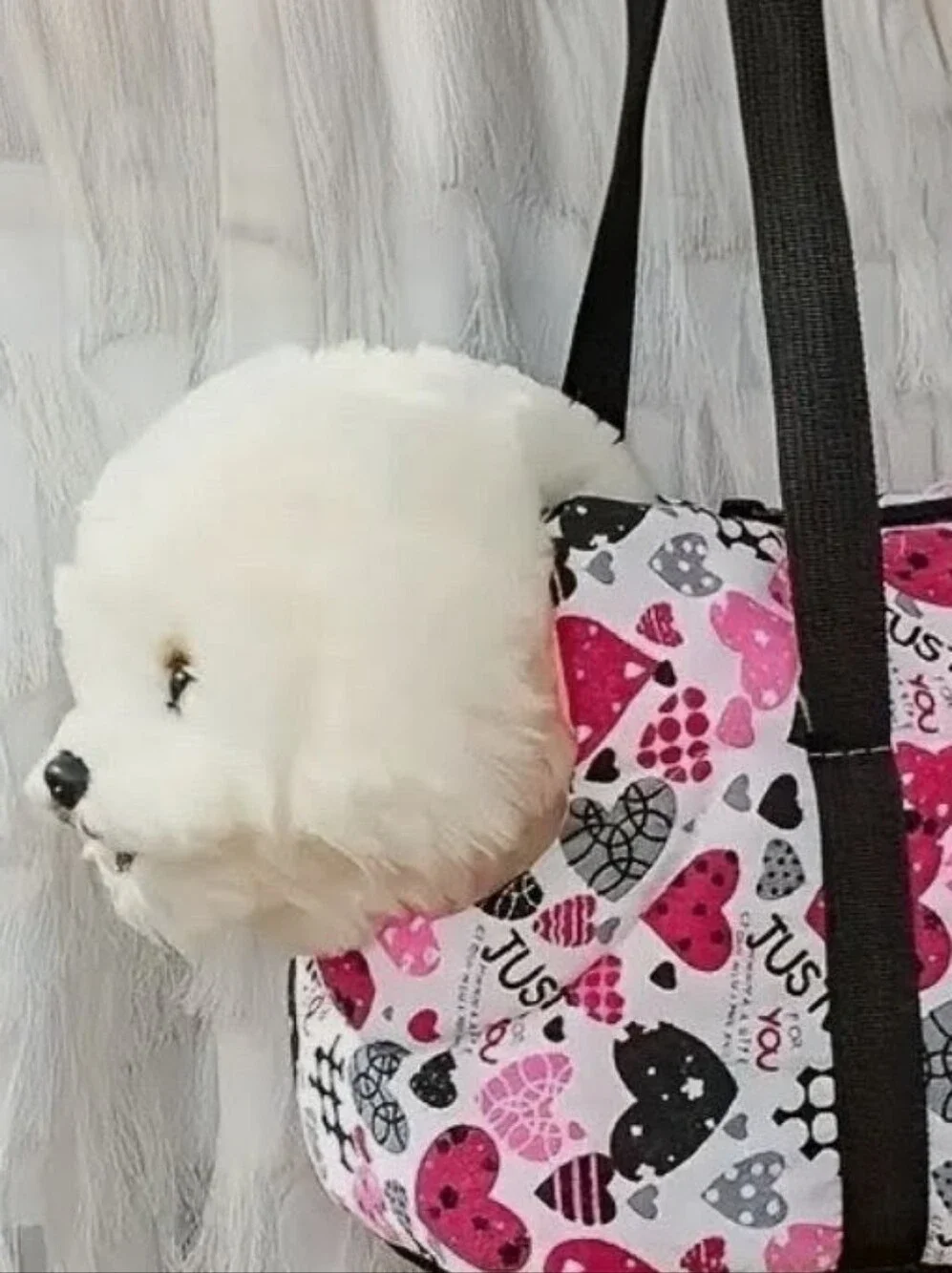 Pet Carrier Tote Pink Hearts Sherpa Lined. New!