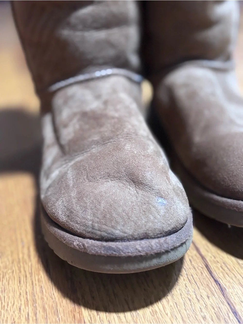 UGG iconic cozy