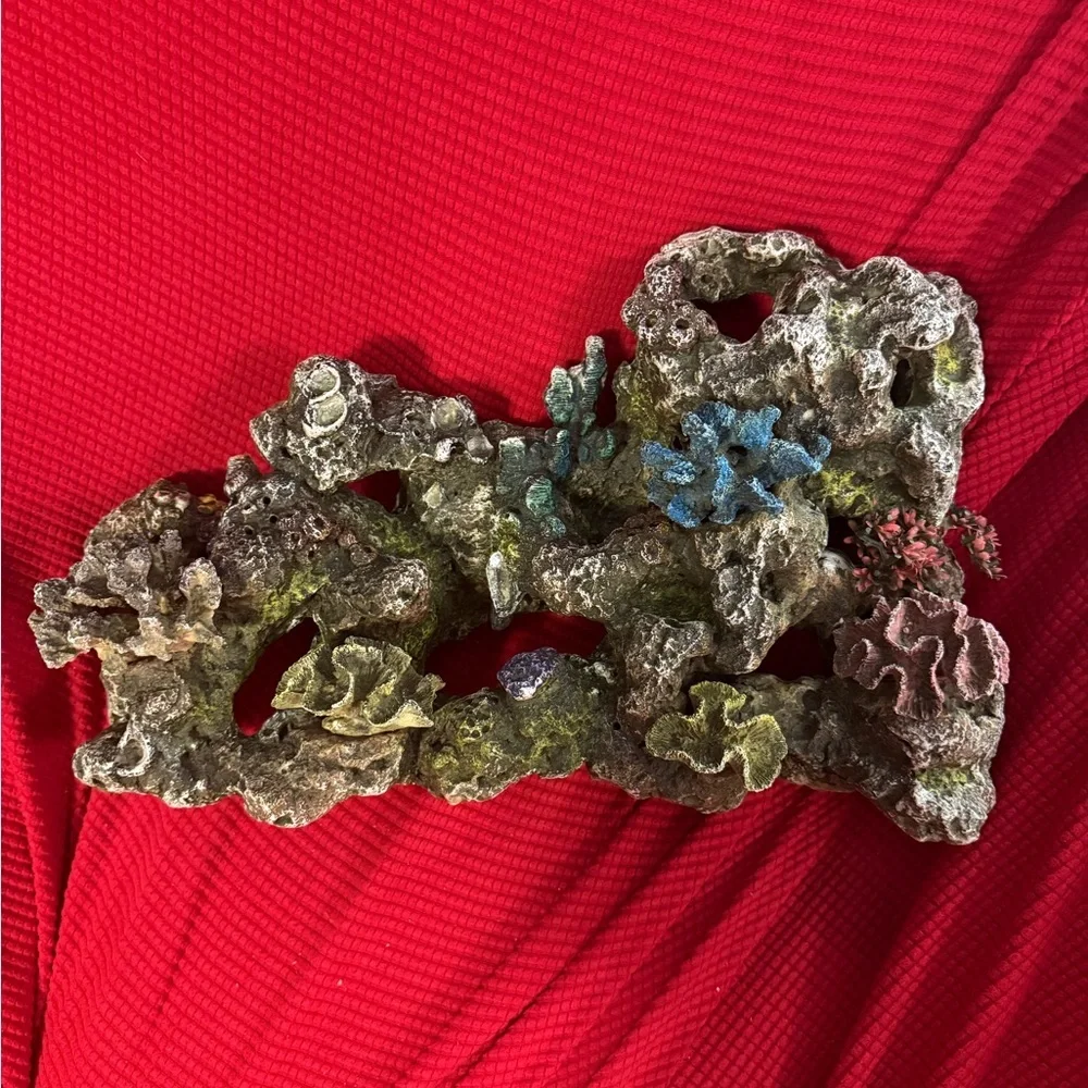 N/A intricate coral