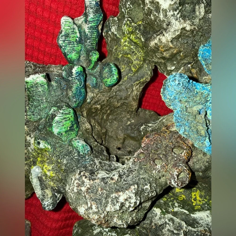 N/A intricate coral