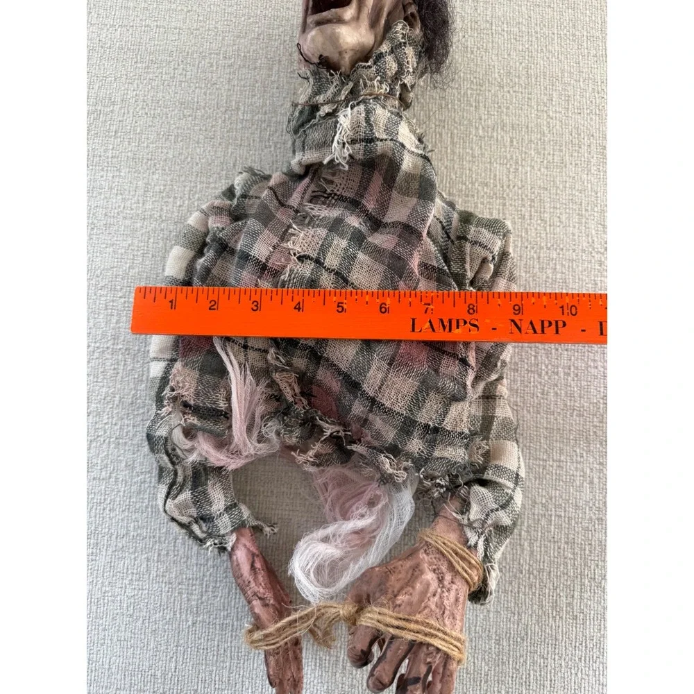 N/A zombie torso