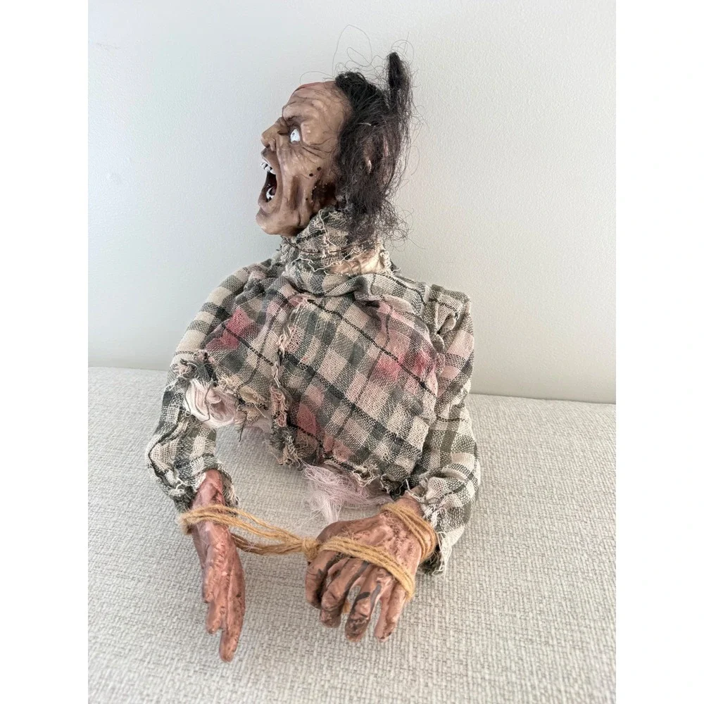 N/A zombie torso